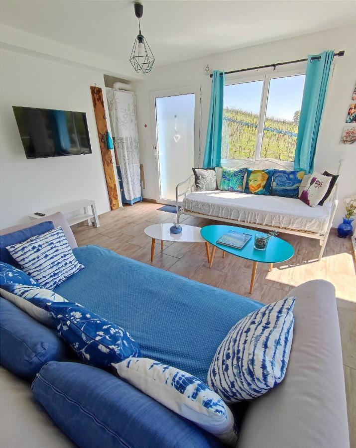 Janea Big Blue House Apartment